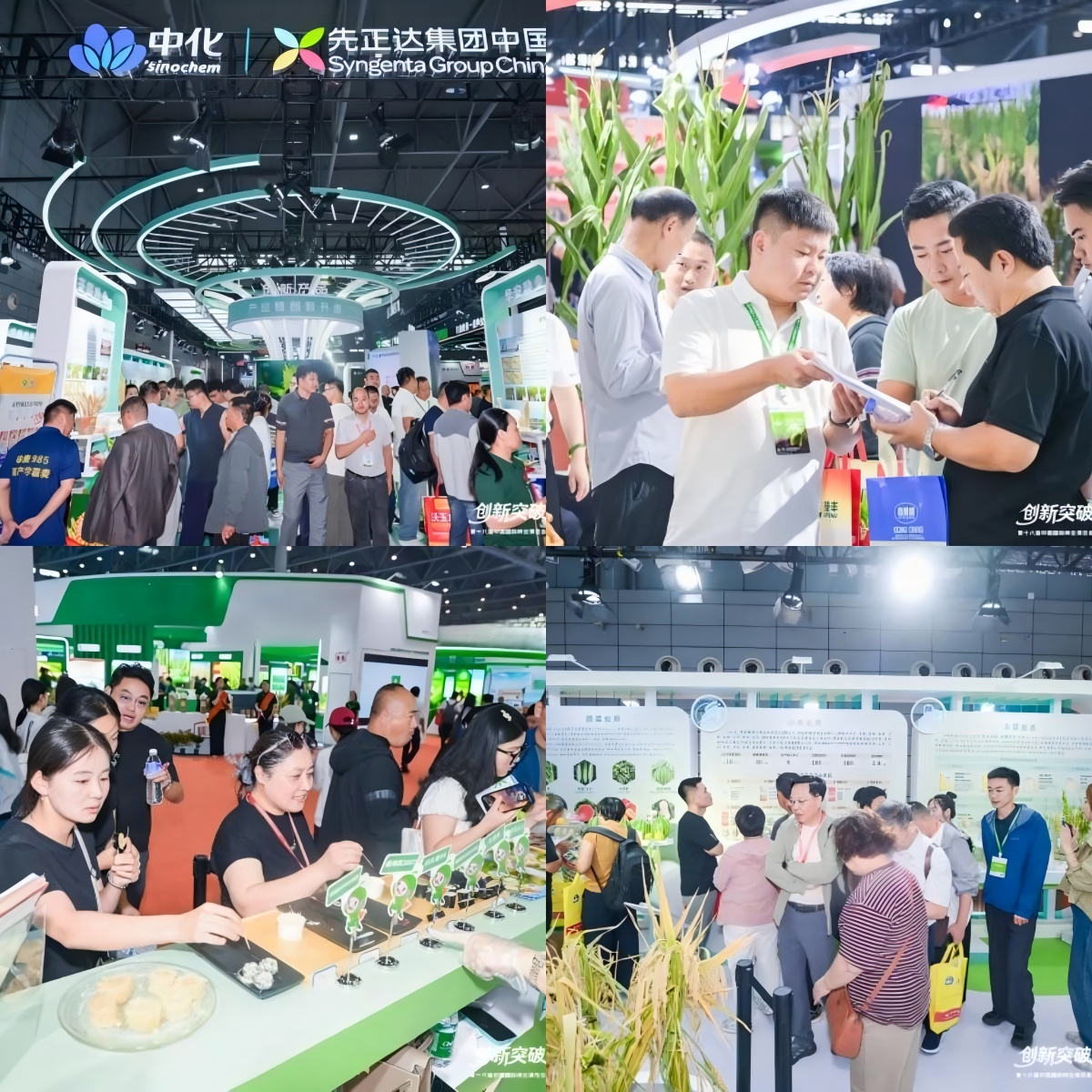 WPS拼圖0.jpg