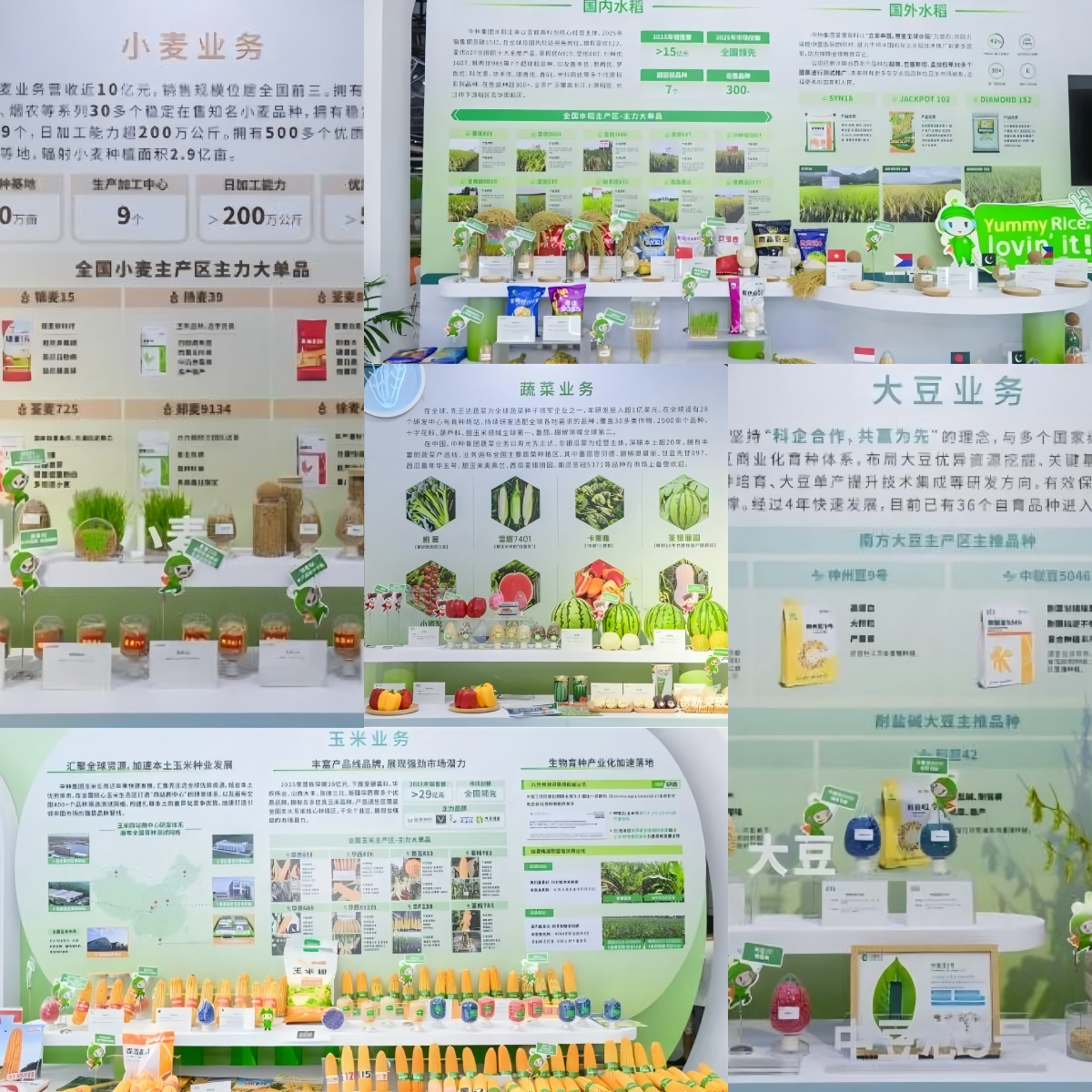 WPS拼圖1.jpg